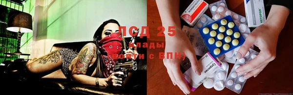 кокс Аркадак