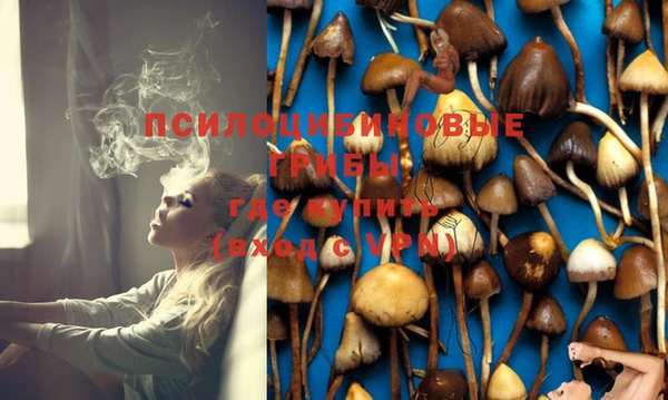 шишки Алзамай