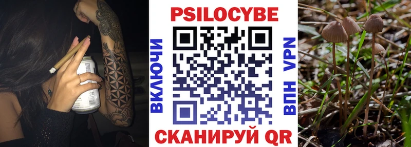Псилоцибиновые грибы Psilocybe  Козьмодемьянск 